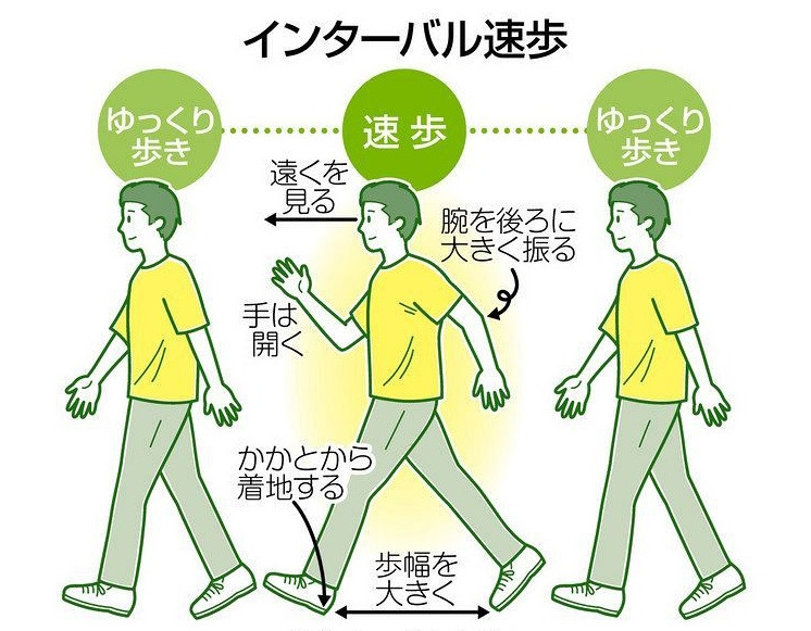 速く、ゆっくり…「インターバル速歩」　継続で高い運動効果：東京新聞 TOKYO Web
