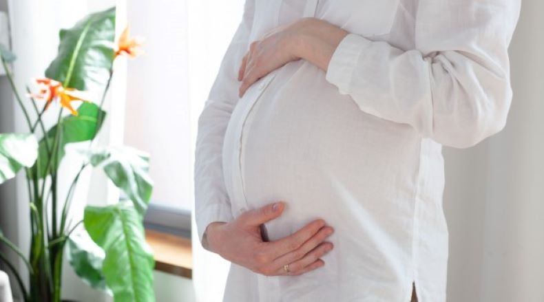 妊娠中の高カロリー食が子どもの成熟後の肥満を誘発するメカニズムを解明！ | 研究成果 | 九州大学（KYUSHU UNIVERSITY）