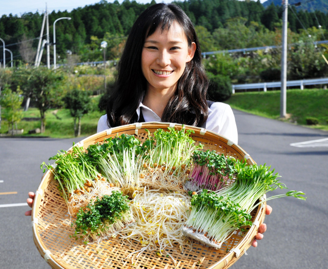 スプラウト、野菜高騰で脚光　栄養価高く価格も手ごろ：朝日新聞デジタル