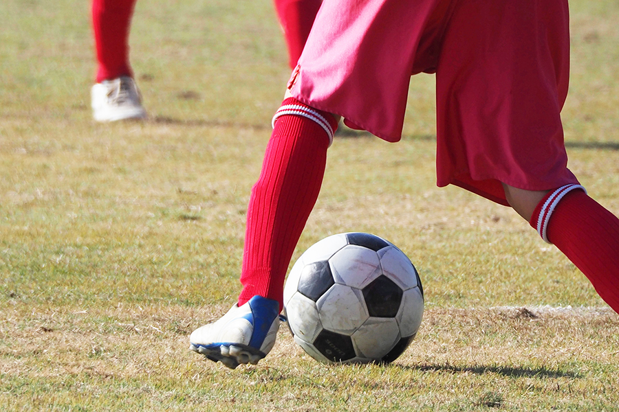 量を食べられない子どもを解決 悪者にされがちな「脂質」を味方につける食べ方とは | THE ANSWER