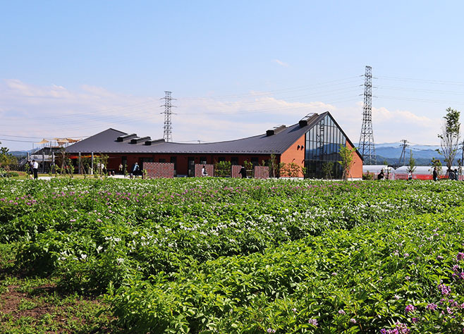 キユーピー 野菜の魅力を発信する「深谷テラス」5月29日開業、収穫体験や地元産にこだわるレストラン、マルシェも｜食品産業新聞社ニュースWEB
