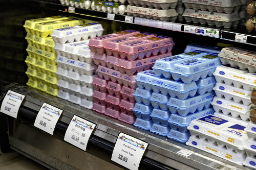 12個入り卵が550円…欧米で「エッグフレーション」 | ヨミドクター(読売新聞)
