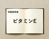 栄養素辞典⑦「ビタミンEとは?」