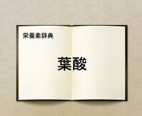 栄養素辞典⑨「葉酸とは?」