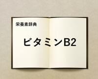 栄養素辞典⑪「ビタミンB2とは?」