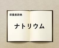 栄養素辞典⑫「ナトリウムとは?」