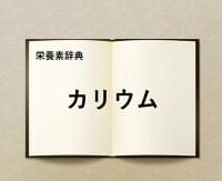 栄養素辞典⑬「カリウムとは?」