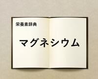 栄養素辞典㉑「マグネシウム」とは?