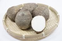 里芋(伊予美人)の旬や栄養、郷土料理 ~おいしい食材再発見!愛媛編~
