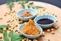 見直される伝統食材! 発酵食品と健康②