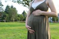 妊娠中に無理なく摂りたい栄養素・葉酸①