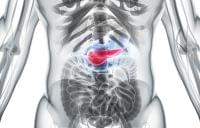 膵炎の基礎知識と脂肪調整食について ①