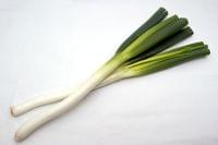 「根深ねぎ」の栄養素や歴史【管理栄養士監修】12月の旬の野菜の栄養学