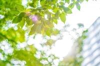 精神病院で働く管理栄養士の仕事