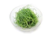 「おかひじき」の栄養素や歴史【管理栄養士監修】4月の旬の野菜の栄養学