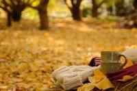 秋は肺をケアしよう! この季節に気を付けるトラブル