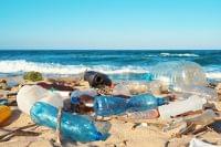 海洋プラスチック問題について知ろう。つくる責任 つかう責任 part2