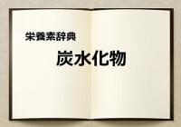 栄養素辞典①「炭水化物とは?」
