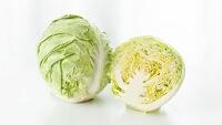 春キャベツ　軟らかくてみずみずしい　生で食べて春の訪れを満喫　「軽いもの」がいい？ | ヨミドクター(読売新聞)