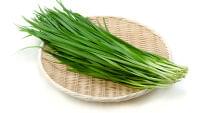 スタミナ野菜のニラ　実は春が旬　葉が軟らかくて香りよく　甘みも感じて | ヨミドクター(読売新聞)