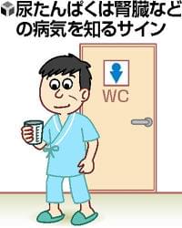 ［健診データを読む］（３）尿に出る異常サイン : yomiDr. / ヨミドクター（読売新聞）