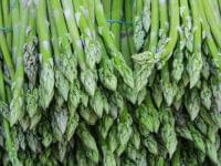 ellyのニュース - 筋力や集中力の維持に。「葉酸」が含まれる、積極的に食べたい10の食品 - 最新グルメニュース一覧 - 楽天WOMAN