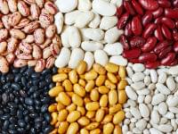 スーパーフードのニュース - 豆を食べるほど、あらゆる病気のリスクが下がって長生きするらしい - 最新グルメニュース一覧 - 楽天WOMAN