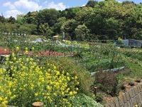 詳細な事例まとめる 学校での食物アレルギー対応で | 教育新聞 電子版