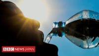 飲料水のマイクロプラスチックは「健康リスクなし」＝WHO - BBCニュース