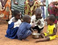 アフリカの栄養問題、官民連携で改善へ — オルタナ: ソーシャル・イノベーション・マガジン!「オルタナ」