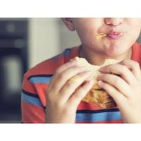 「持ち帰る給食」制度が食物廃棄と貧困の問題解決の糸口に！スコットランドの学校の取り組みが評判（FINDERS） - Yahoo!ニュース