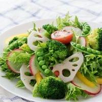 医学的、栄養学的見地からみてベジタリアンの食事はどうなのか？ - エキサイトニュース
