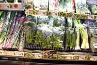 「食品上で増えない」冷静対応を　ウイルス学研究者　パン工場や卸売市場で新型コロナ感染も｜社会｜地域のニュース｜京都新聞