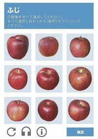 リンゴ「ふじ」この中に三つ、どれでしょう？…「難しすぎる」と悲鳴続々 : 社会 : ニュース : 読売新聞オンライン