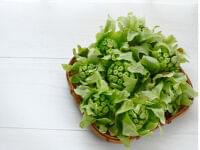 苦すぎない「ふきのとう」を選ぶには？ 管理栄養士が教える調理のコツ | MYLOHAS
