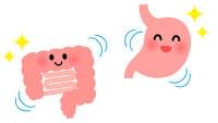 胃腸は味がわかる!? 消化管での主要栄養素の感知に関するナラティブレビュー