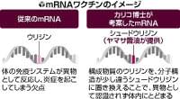 コロナワクチンにヤマサ醤油の技…うまみ成分の研究、mRNAの原料供給に進化 | ヨミドクター(読売新聞)
