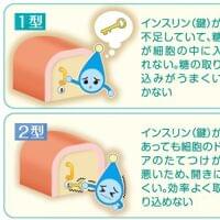 糖尿病は子どものころから予防しよう 1型と2型の違いは? 食事と運動のポイントは? | 子育て世代がつながる - 東京すくすく
