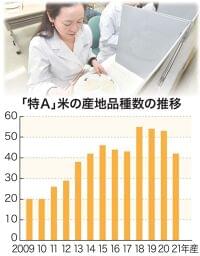 米食味ランキング　「特Ａ」４２大幅減　天候不順が影響 / 日本農業新聞