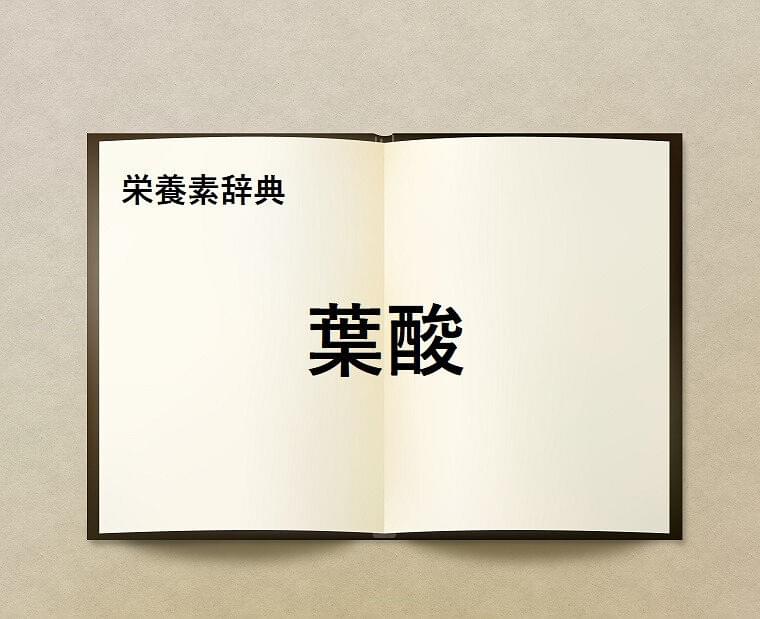 栄養素辞典⑨「葉酸とは?」