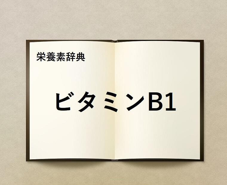栄養素辞典⑩「ビタミンB1とは?」
