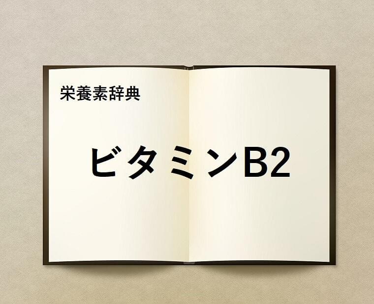 栄養素辞典⑪「ビタミンB2とは?」