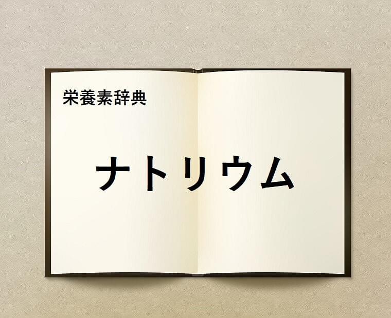 栄養素辞典⑫「ナトリウムとは?」