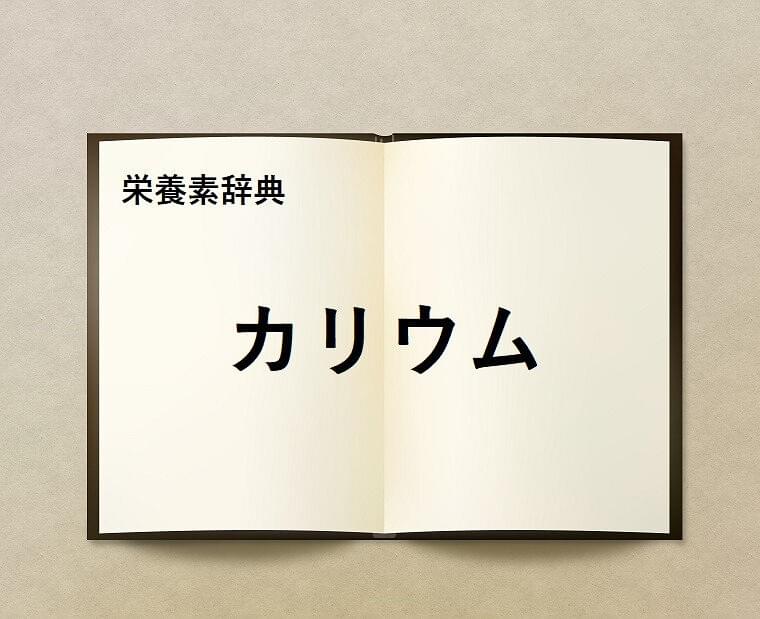栄養素辞典⑬「カリウムとは?」