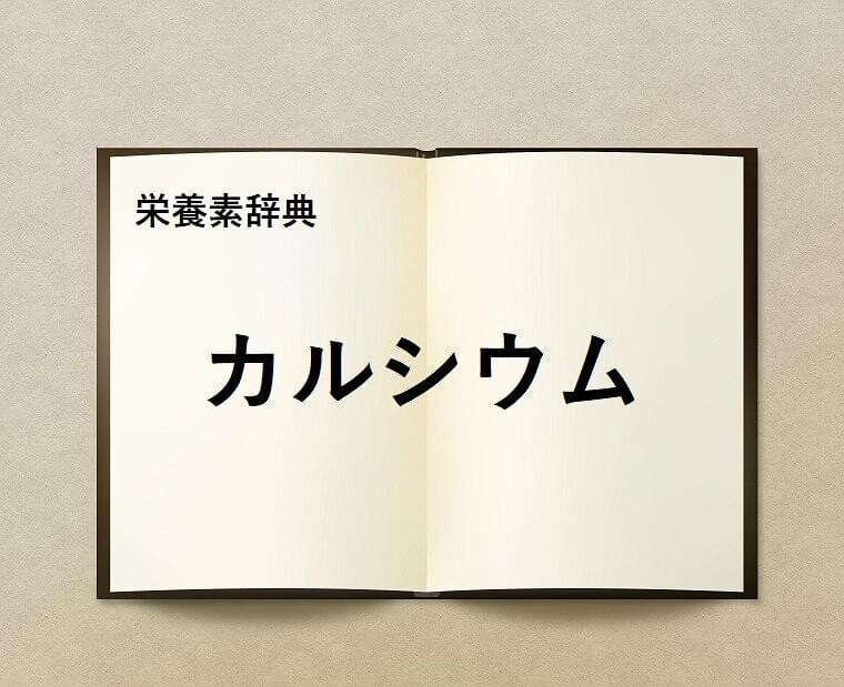 栄養素辞典⑭「カルシウムとは?」