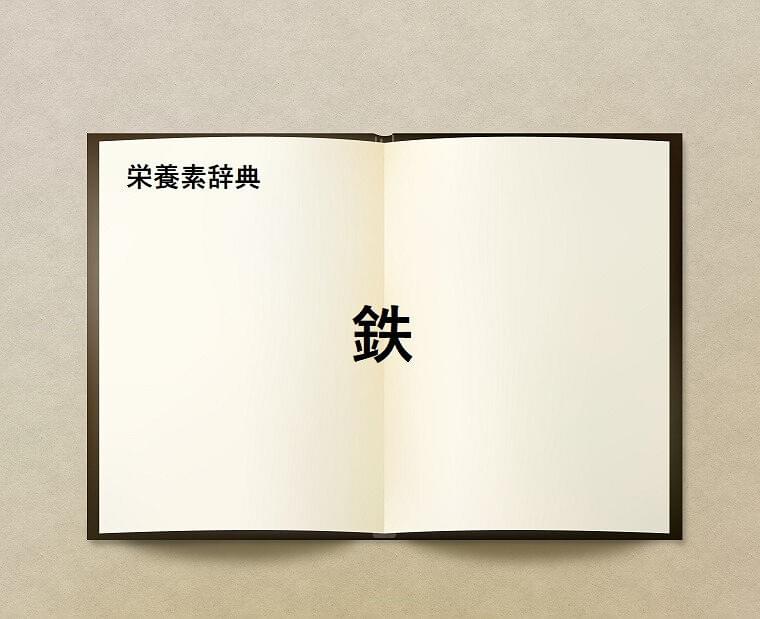 栄養素辞典⑮「鉄とは?」