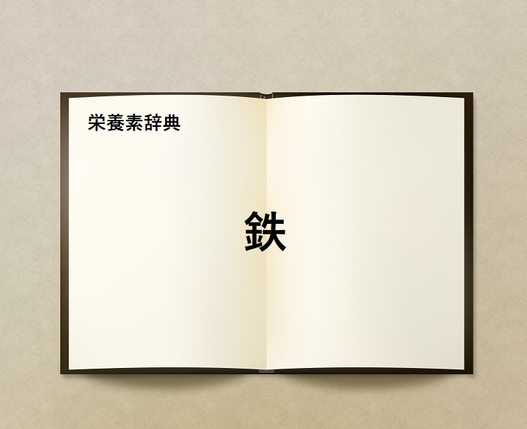 栄養素辞典⑮「鉄とは?」