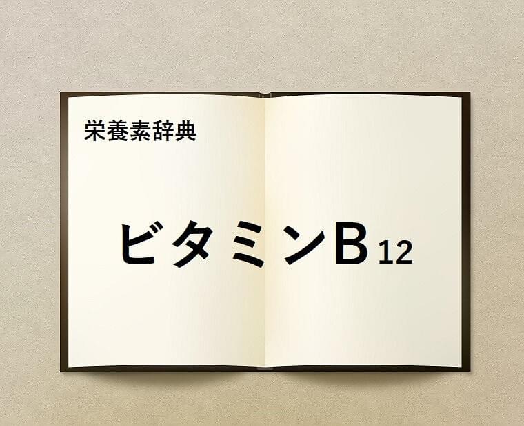 栄養素辞典⑱「ビタミンB12」とは?