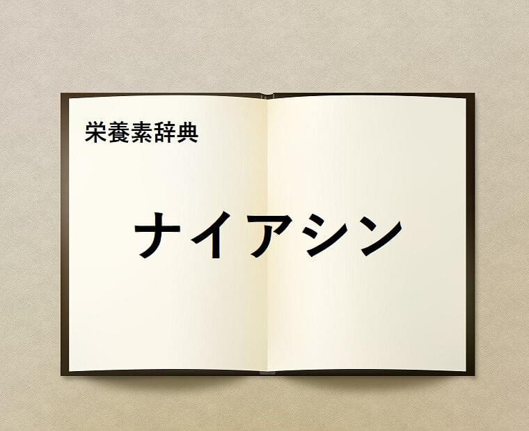 栄養素辞典⑲「ナイアシン」とは?