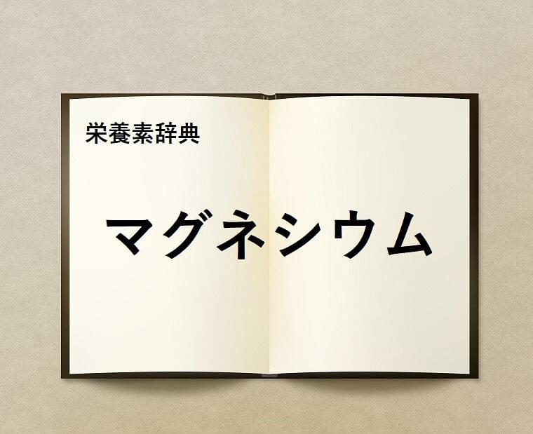 栄養素辞典㉑「マグネシウム」とは?